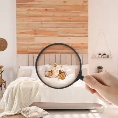 Loupe révélant des punaises de lit sur un coussin dans une chambre. Attention à l'arnaque punaise de lit !