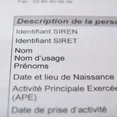 Extrait d'un document officiel listant les informations d'identification d'une personne, y compris l'identifiant SIRET, essentiel pour obtenir un numéro de SIRET gratuit.