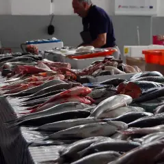 Un poissonnier prépare une vente, étal de poissons frais. La convention collective poissonnerie garantit la qualité.