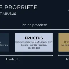 Schéma expliquant les droits de propriété : usus, fructus et abusus, avec leurs définitions.