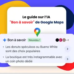 Guide IA sur les "faux avis Google" de Google Maps, avec des astuces sur les donuts et l'aspect "instagrammable" d'une boutique.