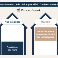 Schéma illustrant le démembrement de propriété : nue-propriété (propriétaire des murs) et usufruit (droit d'occuper ou de récolter les fruits). Utile pour la planification successorale.