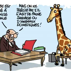 Un homme d'affaires lit un document. Une girafe et un mouton, assis sur des chaises, attendent. Le legs est destiné à la cause animale, mais on ne précise pas si c'est pour la faune sauvage ou domestique.