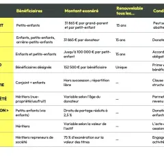 Tableau comparatif des dispositifs pour optimiser les frais de succession : donation au petit-enfant, don familial, assurance-vie.