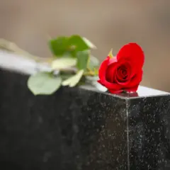 Une rose rouge sur une pierre tombale, symbole de deuil et de souvenir. Le notaire s'occupe du déblocage des fonds succession.