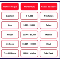 Tableau classifiant les **créances net** par profil de risque, montant et niveau de risque. De "Excellent" à "Très Médiocre" pour le profil, et de "Très Faible" à "Très Élevé" pour le niveau.
