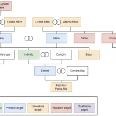 Arbre généalogique montrant les liens familiaux, des arrière-grands-parents aux petits-enfants, illustrant les descendants.