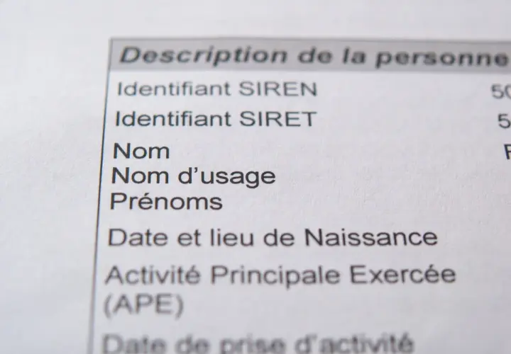 Extrait d'un document officiel listant les informations d'identification d'une personne, y compris l'identifiant SIRET, essentiel pour obtenir un numéro de SIRET gratuit.