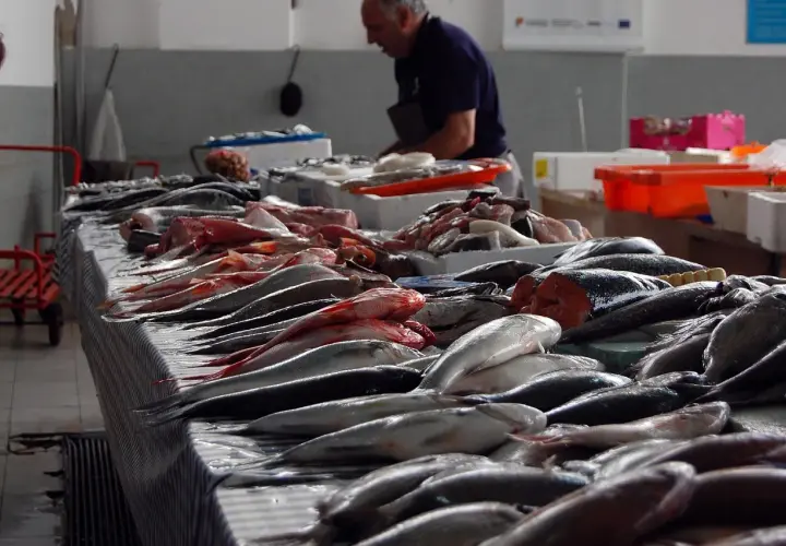 Un poissonnier prépare une vente, étal de poissons frais. La convention collective poissonnerie garantit la qualité.