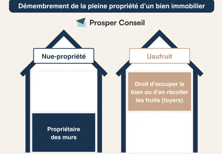Schéma illustrant le démembrement de propriété : nue-propriété (propriétaire des murs) et usufruit (droit d'occuper ou de récolter les fruits). Utile pour la planification successorale.