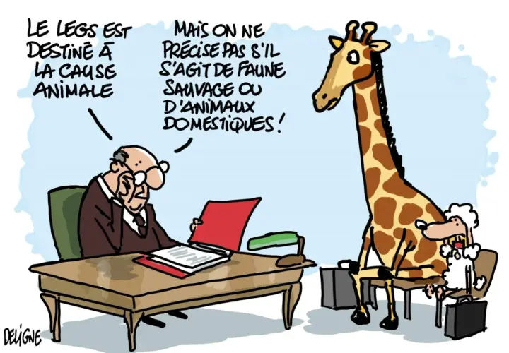 Un homme d'affaires lit un document. Une girafe et un mouton, assis sur des chaises, attendent. Le legs est destiné à la cause animale, mais on ne précise pas si c'est pour la faune sauvage ou domestique.
