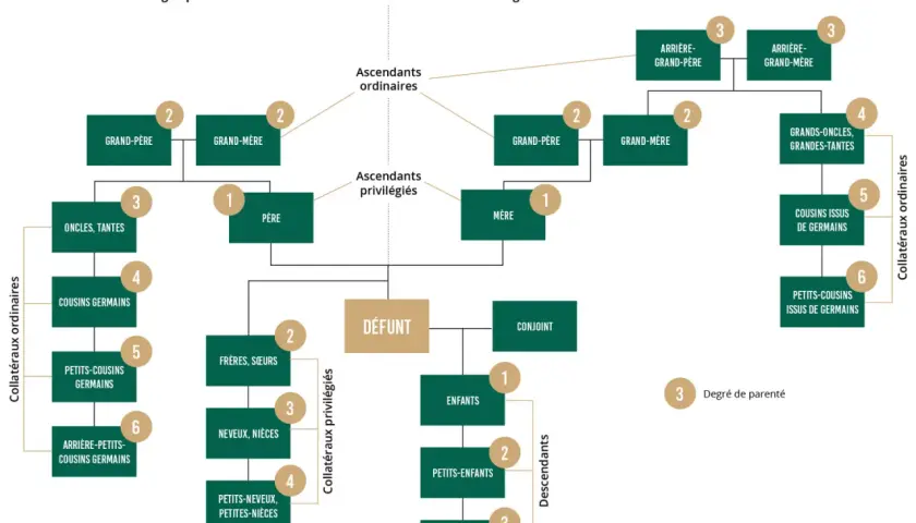 Arbre généalogique montrant les liens de parenté autour d'un défunt. Le décès d'un cousin germain est représenté, avec ses liens familiaux.