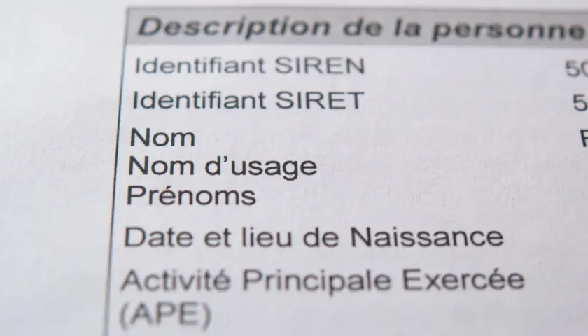 Extrait d'un document officiel listant les informations d'identification d'une personne, y compris l'identifiant SIRET, essentiel pour obtenir un numéro de SIRET gratuit.