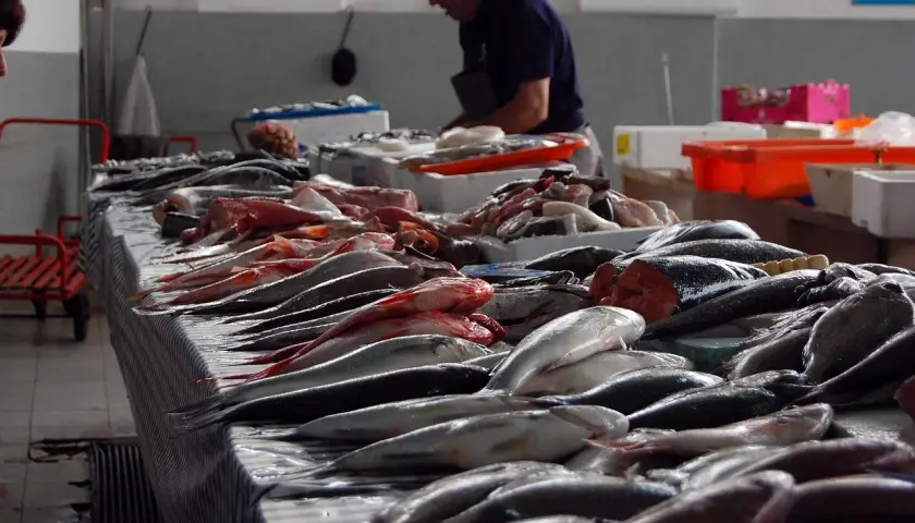 Un poissonnier prépare une vente, étal de poissons frais. La convention collective poissonnerie garantit la qualité.