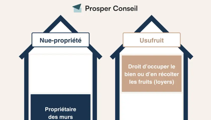 Schéma illustrant le démembrement de propriété : nue-propriété (propriétaire des murs) et usufruit (droit d'occuper ou de récolter les fruits). Utile pour la planification successorale.