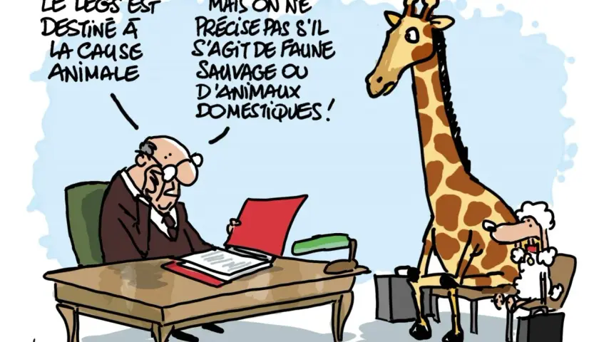 Un homme d'affaires lit un document. Une girafe et un mouton, assis sur des chaises, attendent. Le legs est destiné à la cause animale, mais on ne précise pas si c'est pour la faune sauvage ou domestique.