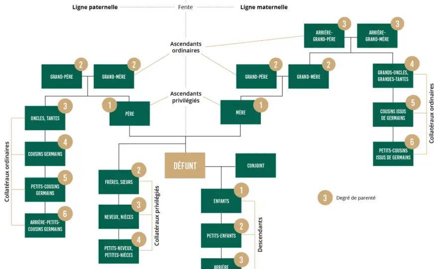 Succession cousin germain - Qui hérite vraiment et à quel prix ?