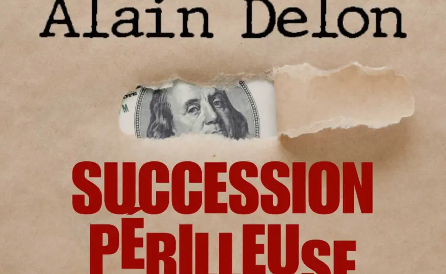 Succession Delon - Comprendre les enjeux et éviter les pièges