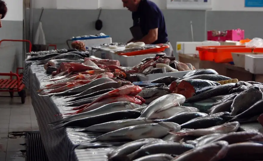 Convention collective poissonnerie - Salaires, horaires et droits