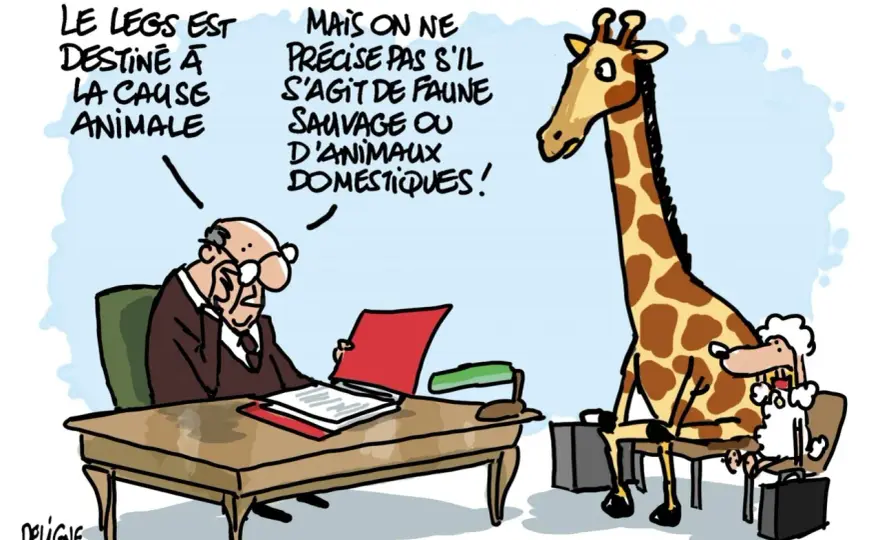 Le legs en France - Comment transmettre ses biens sans erreurs ?