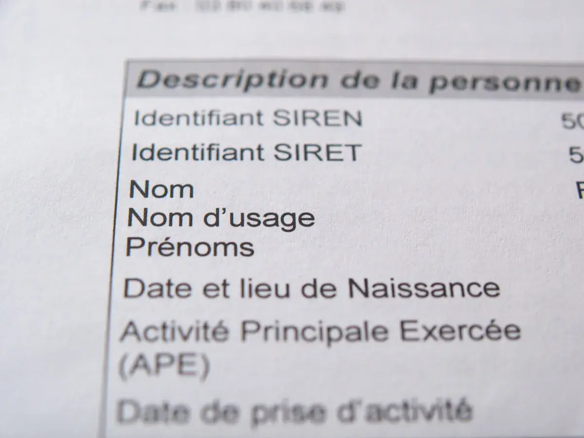 Extrait d'un document officiel listant les informations d'identification d'une personne, y compris l'identifiant SIRET, essentiel pour obtenir un numéro de SIRET gratuit.