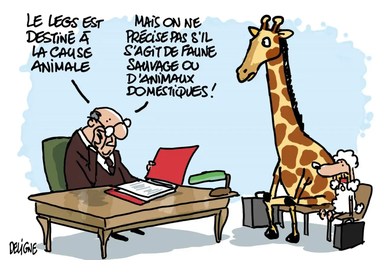 Un homme d'affaires lit un document. Une girafe et un mouton, assis sur des chaises, attendent. Le legs est destiné à la cause animale, mais on ne précise pas si c'est pour la faune sauvage ou domestique.