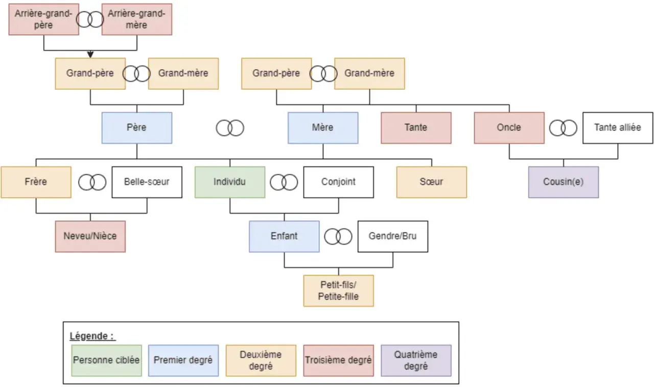 Arbre généalogique montrant les liens familiaux, des arrière-grands-parents aux petits-enfants, illustrant les descendants.