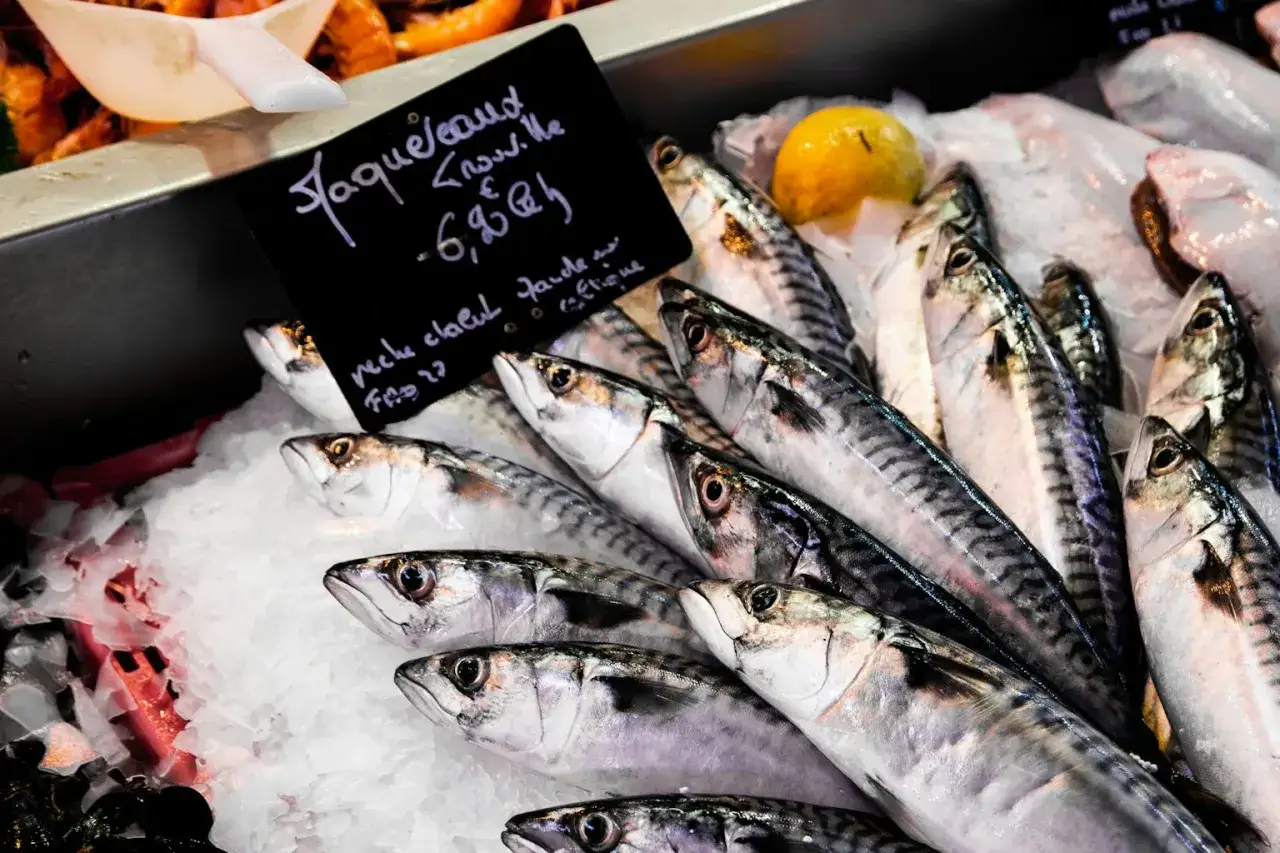 Poissons frais sur glace, étiquette