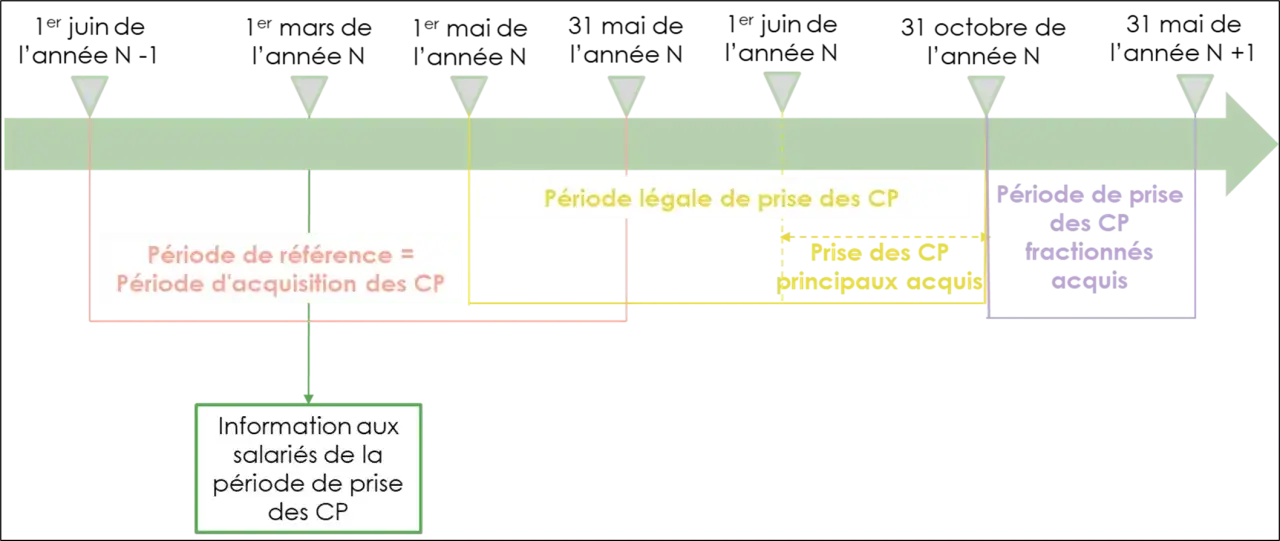 Chronologie des congés payés : période d'acquisition, période légale de prise, prise des CP principaux et fractionnés. L'employeur informe les salariés.