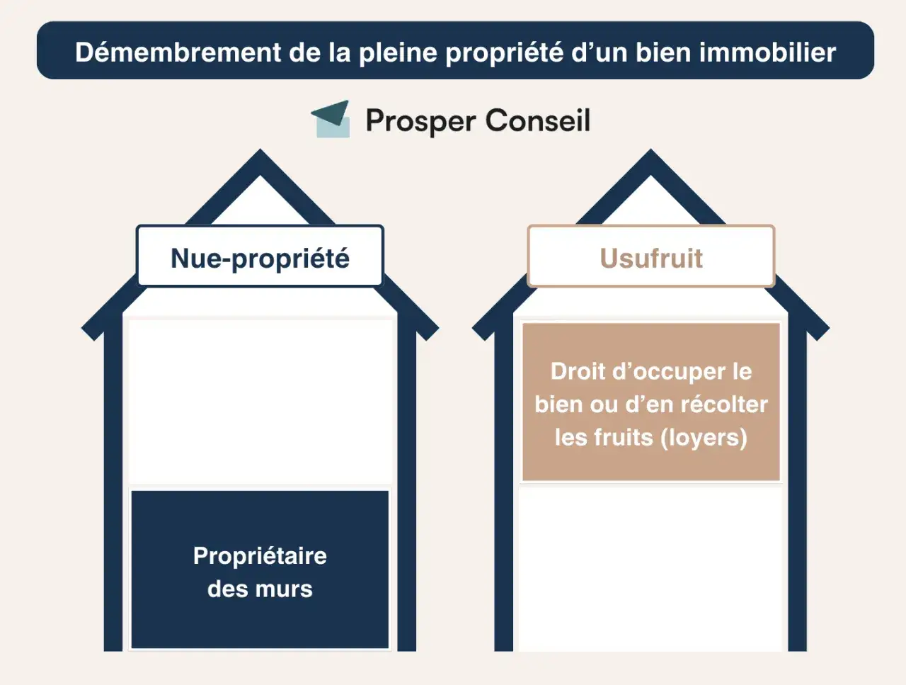 Illustration expliquant le d&eacute;membrement de propri&eacute;t&eacute; : la nue-propri&eacute;t&eacute; (propri&eacute;taire des murs) et l'usufruit (droit d'occuper ou de r&eacute;colter les fruits). Un quasi-usufruit dilapid&eacute; peut survenir.