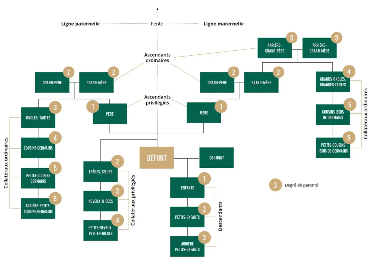 Arbre g&eacute;n&eacute;alogique montrant les liens de parent&eacute; autour du d&eacute;funt, y compris ses parents, fr&egrave;res et s&oelig;urs, et cousins issus de germains.