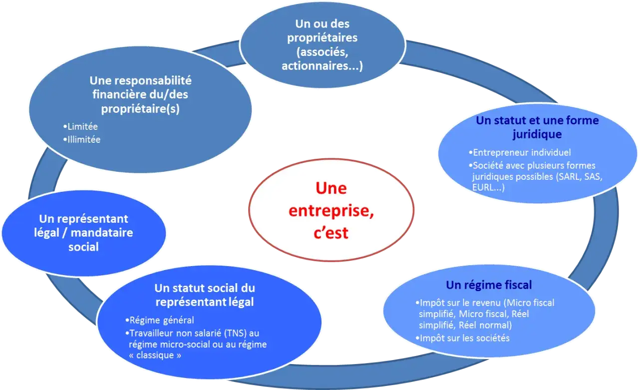 Sch&eacute;ma expliquant ce qu'est une entreprise : statut juridique, r&eacute;gime fiscal, responsabilit&eacute;, propri&eacute;taires, repr&eacute;sentant l&eacute;gal. La notion de personne morale est implicite.