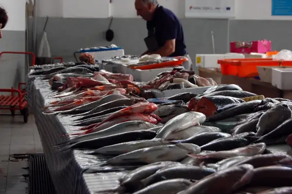 Un poissonnier prépare une vente, étal de poissons frais. La convention collective poissonnerie garantit la qualité.
